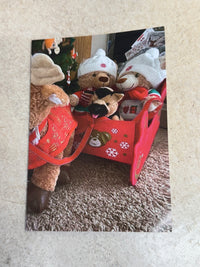 Eddy the Teddy Christmas Cards (pack of 20)