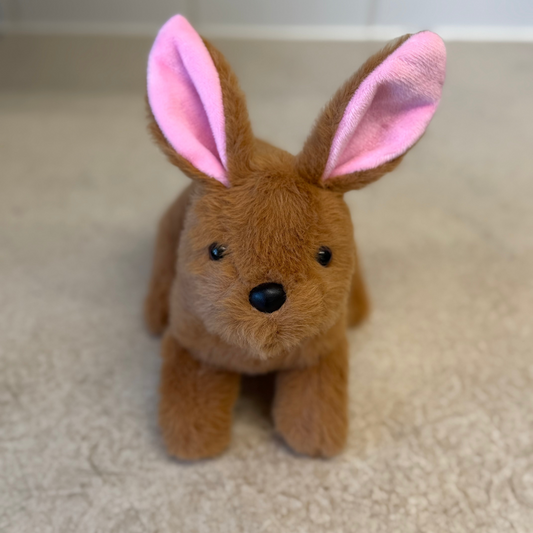 Brenda the Bunny Eddy the Teddy Bear