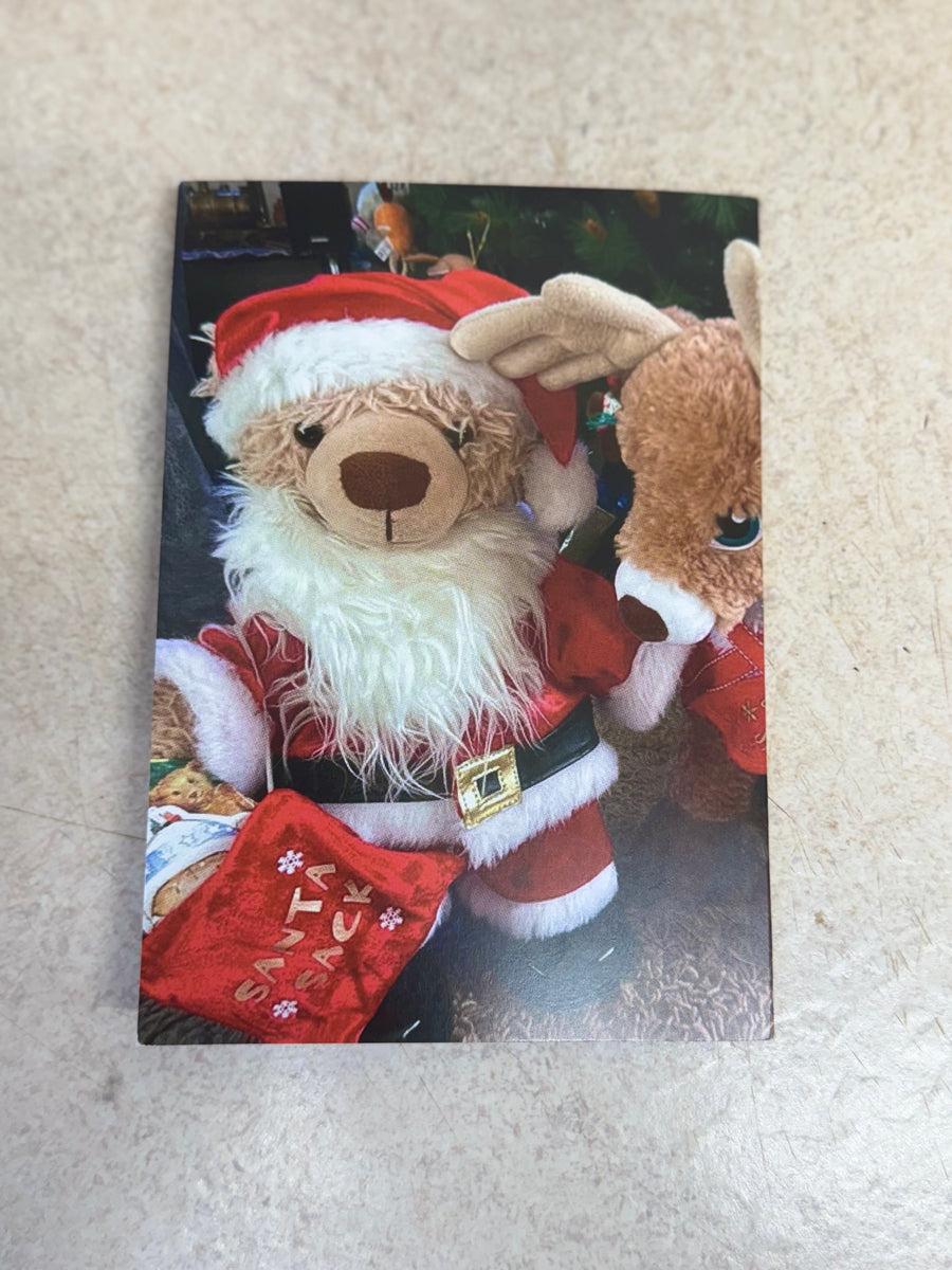 Eddy the Teddy Christmas Cards (pack of 20)