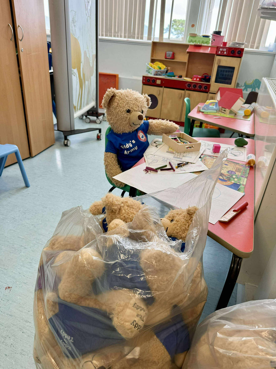 Donate to Eddy the Teddy