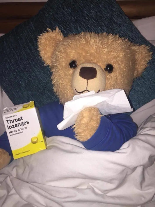 Teddy bears picnic song 