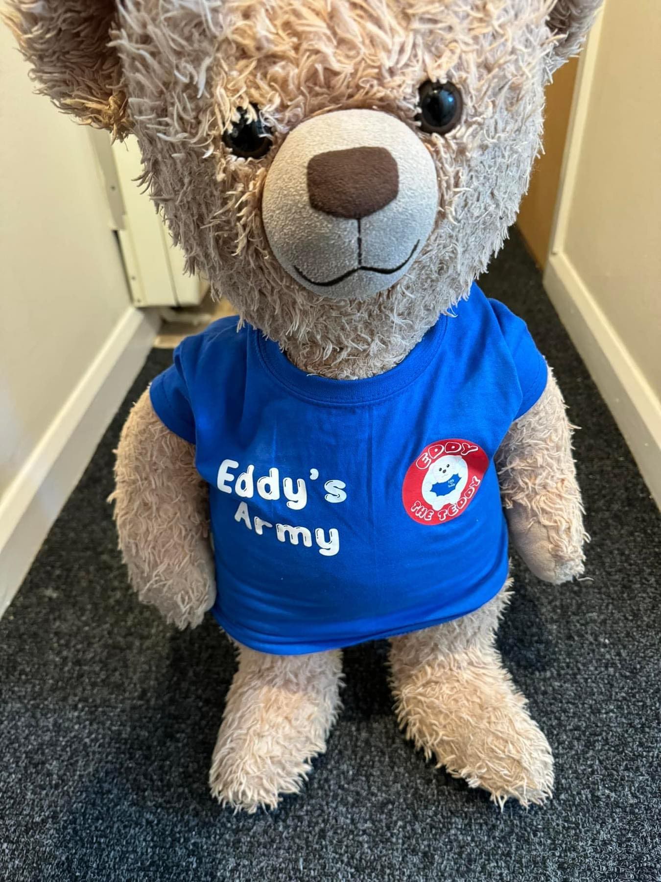 Eddy's Army (Supporting Children In Hospital) T shirt Eddy the Teddy Bear