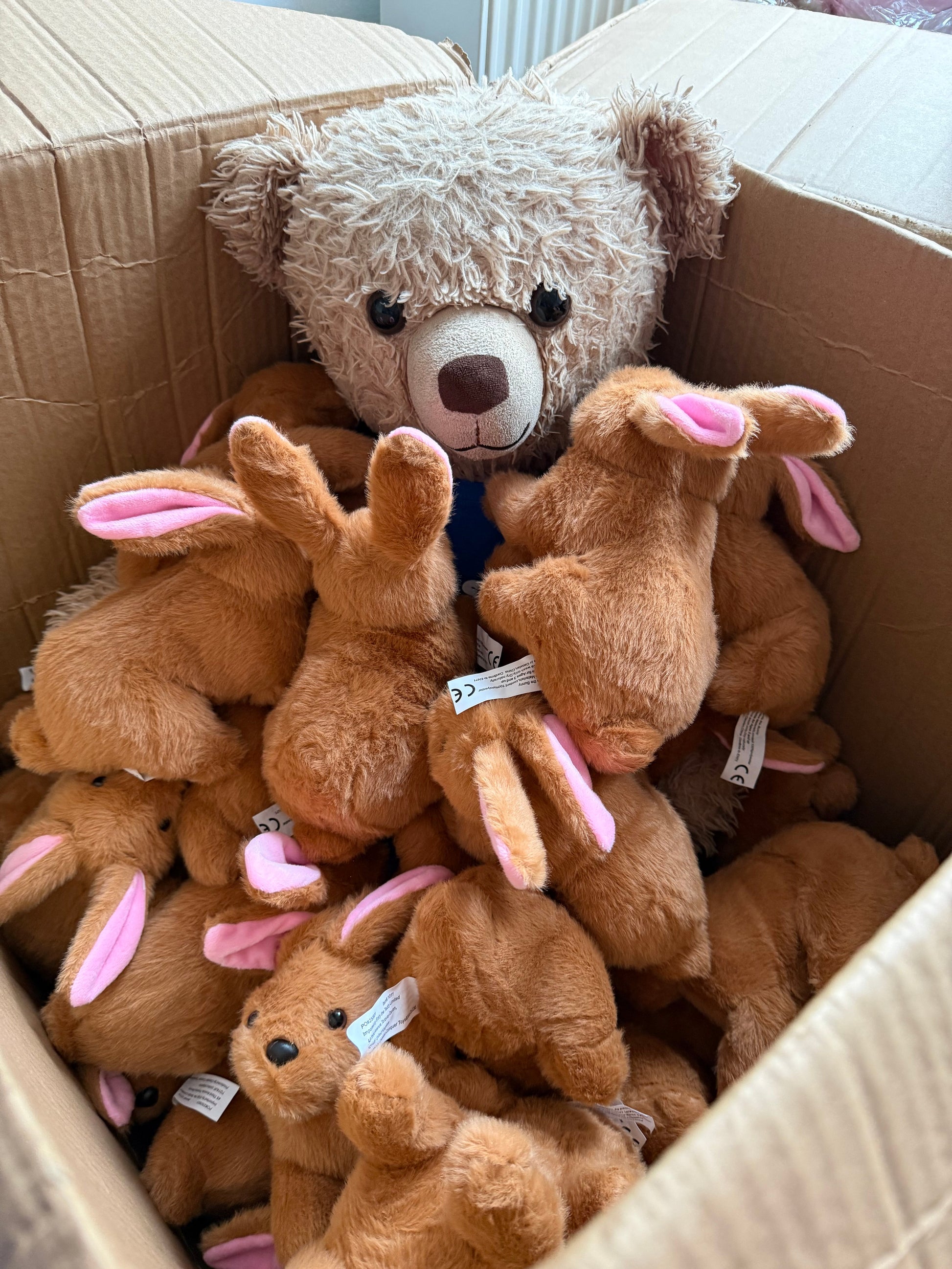 Brenda the Bunny Eddy the Teddy Bear