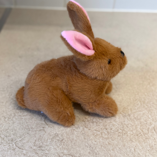 Brenda the Bunny Eddy the Teddy Bear