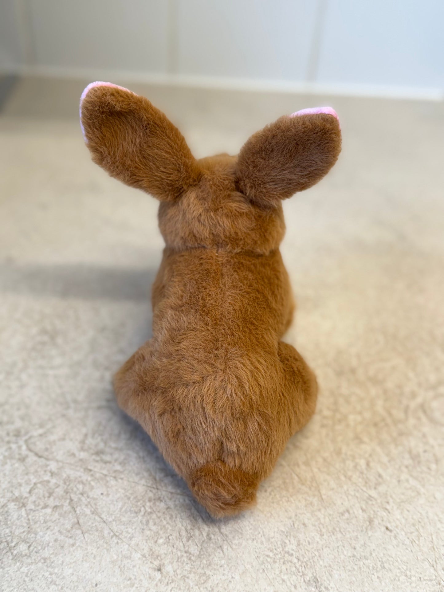 Brenda the Bunny Eddy the Teddy Bear