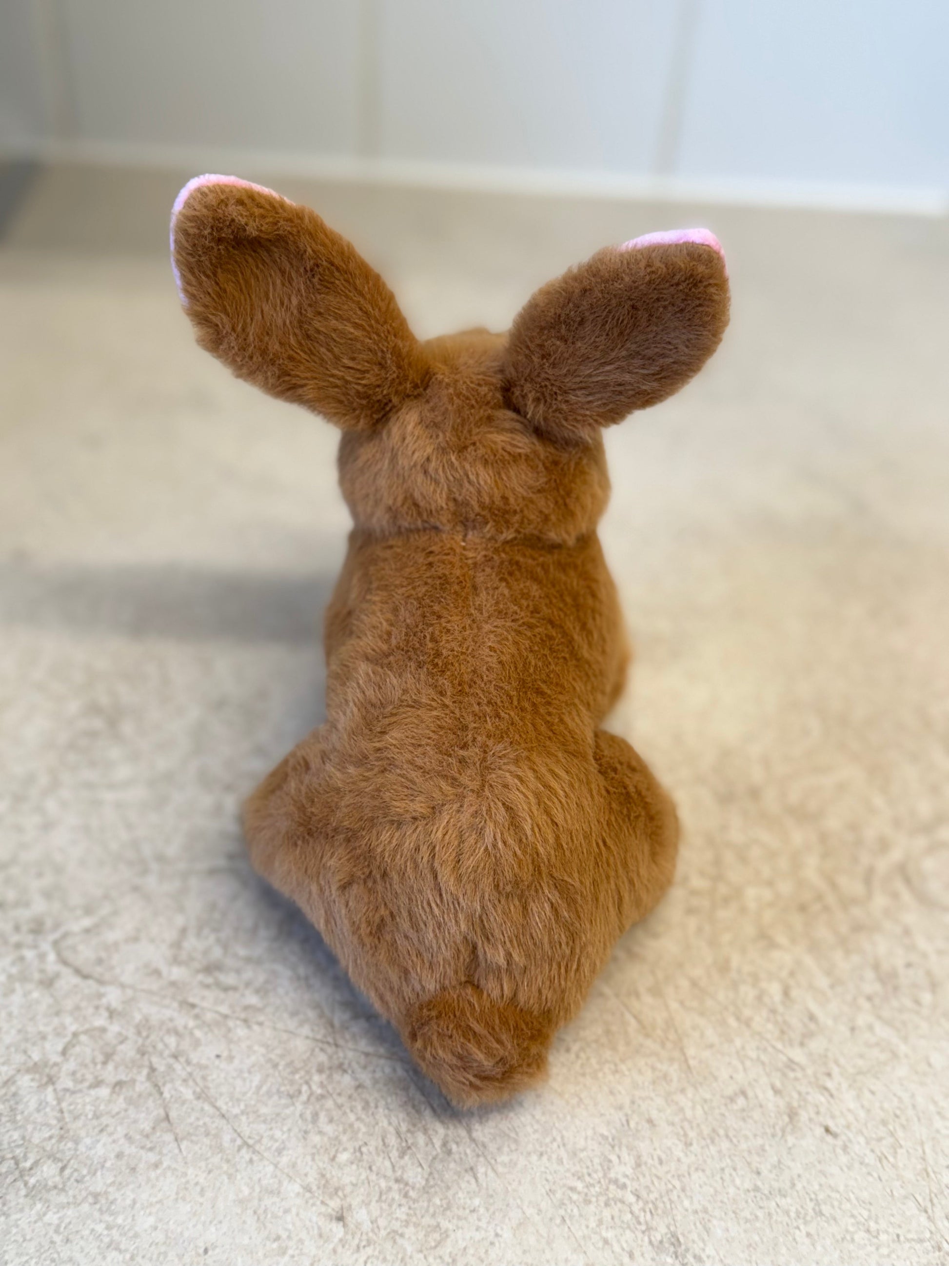 Brenda the Bunny Eddy the Teddy Bear