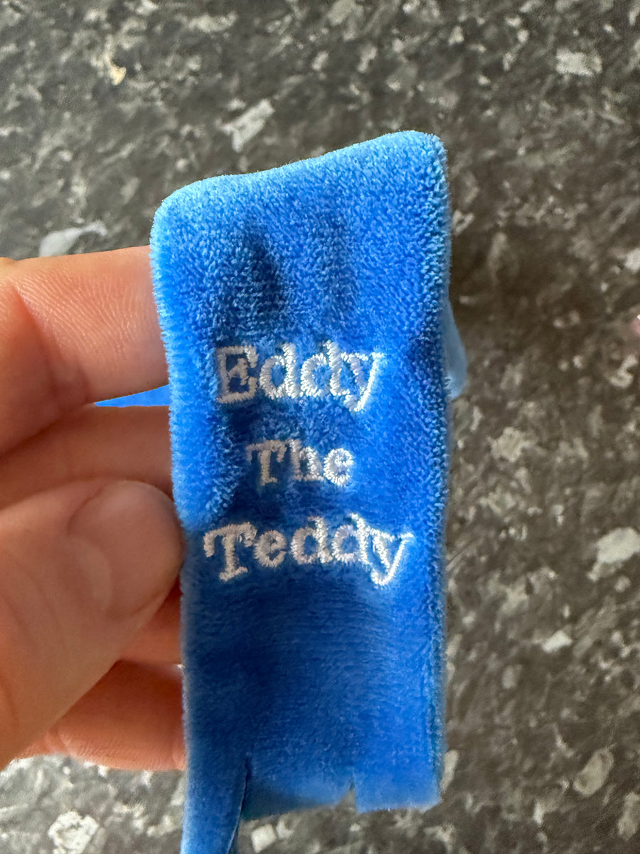 Eddy the Teddy winter scarf