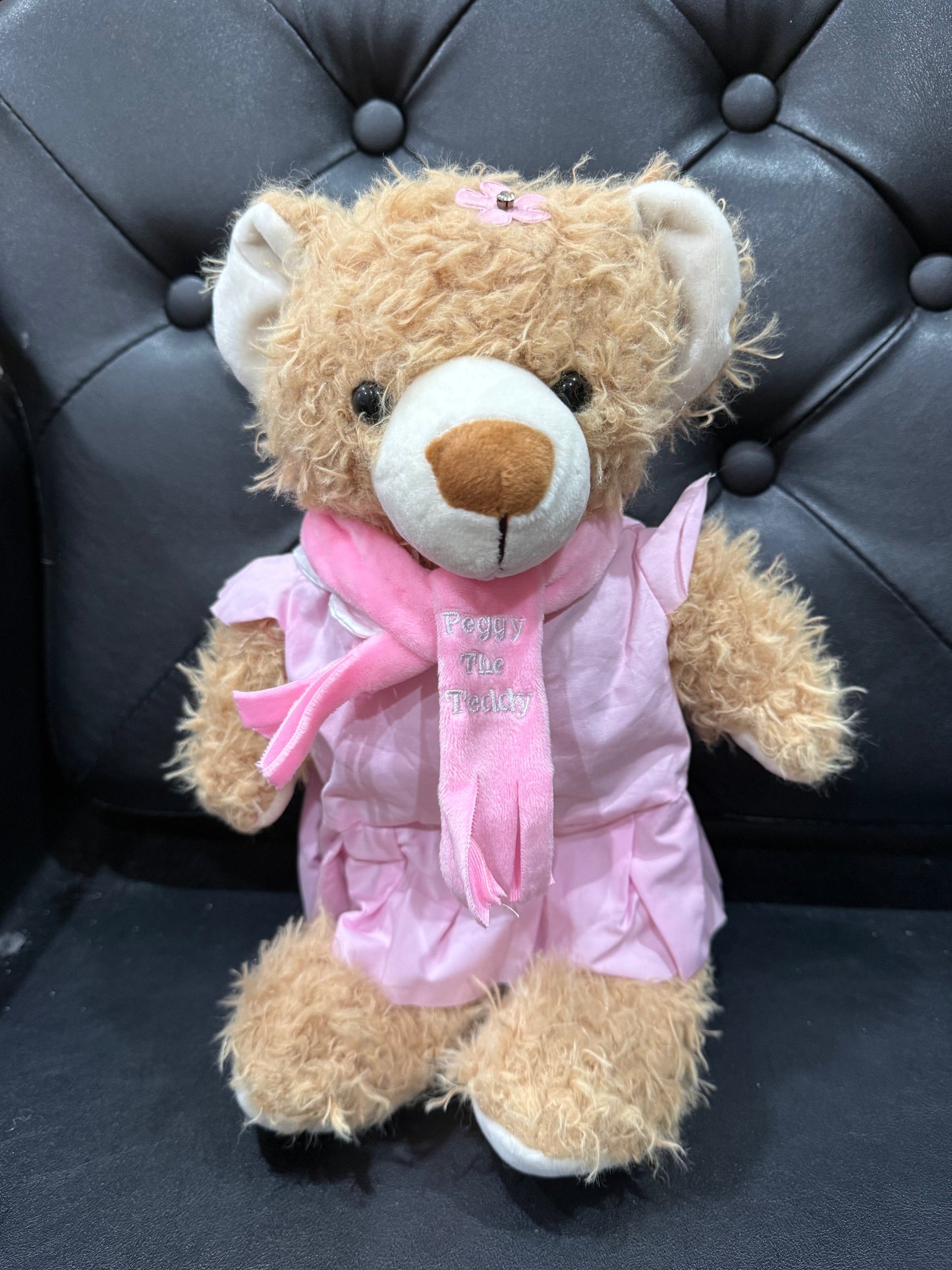 Peggy the Teddy Bear winter scarf Eddy the Teddy Bear
