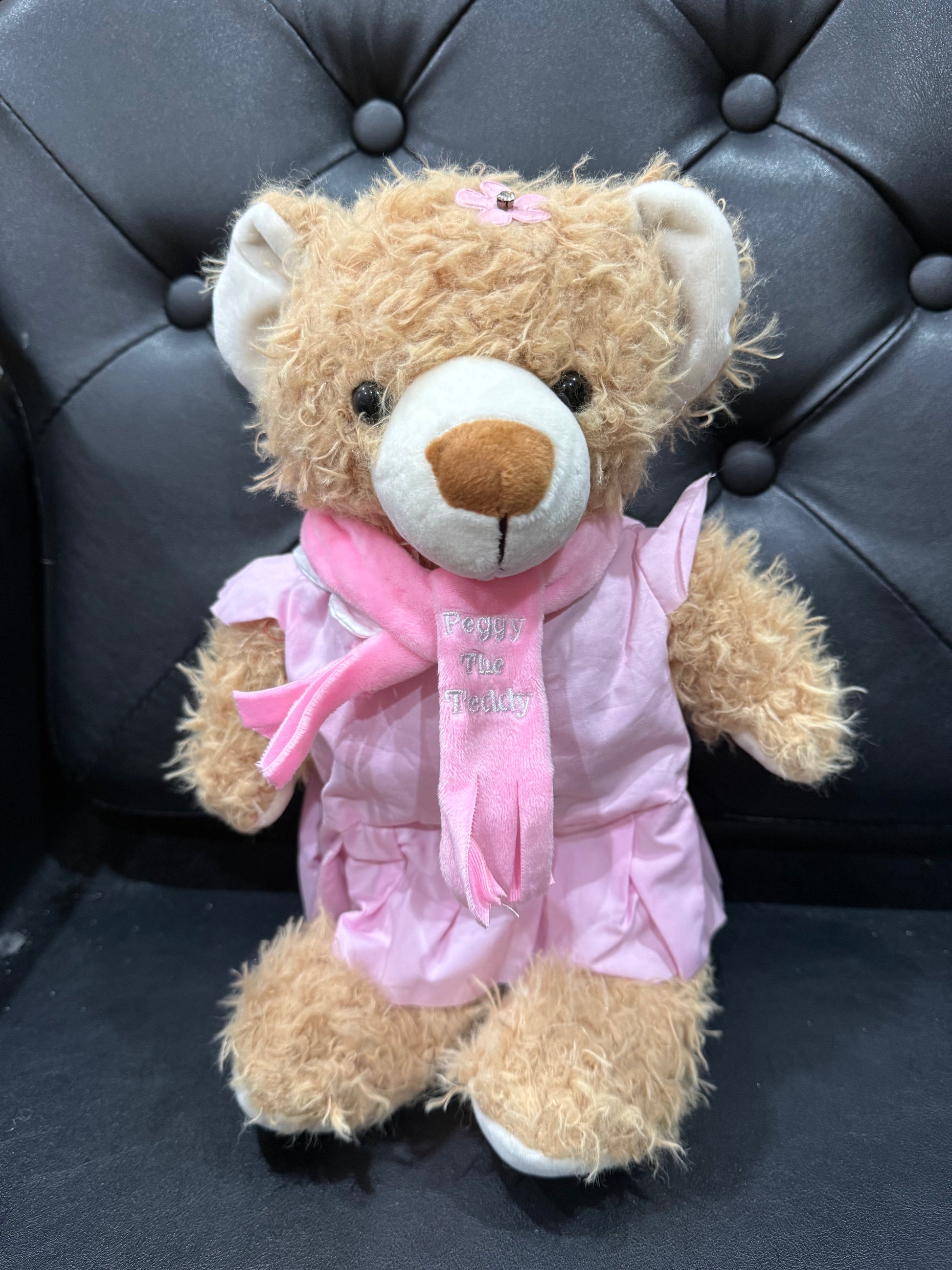 Peggy the Teddy Bear winter scarf Eddy the Teddy Bear