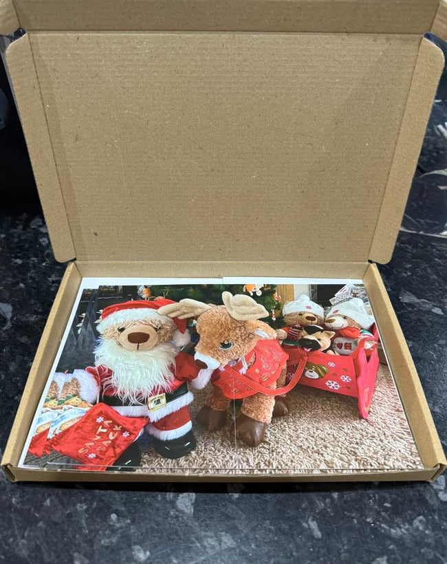 Eddy the Teddy Christmas Card (pack of 10)