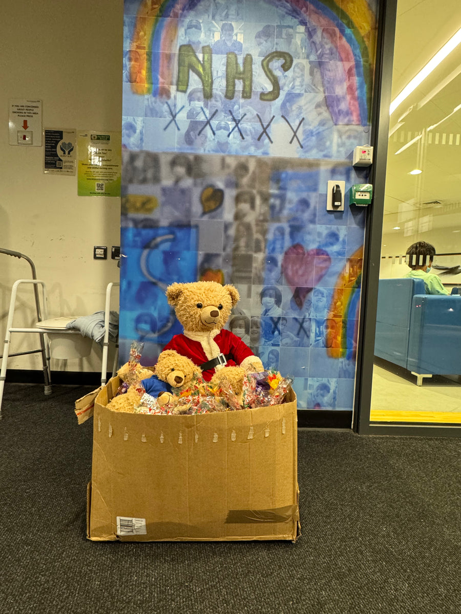 Donate to Eddy the Teddy