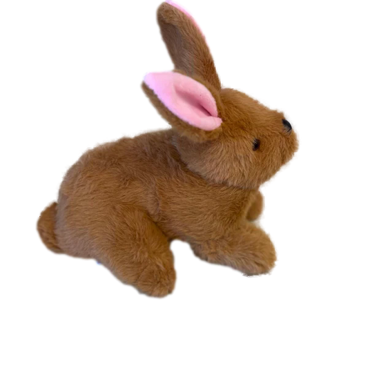 Brenda the Bunny