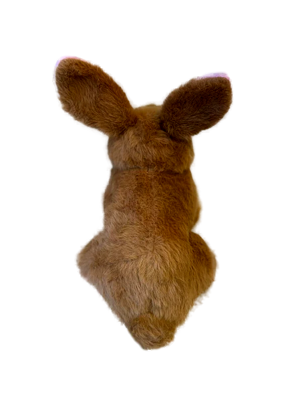 Brenda the Bunny