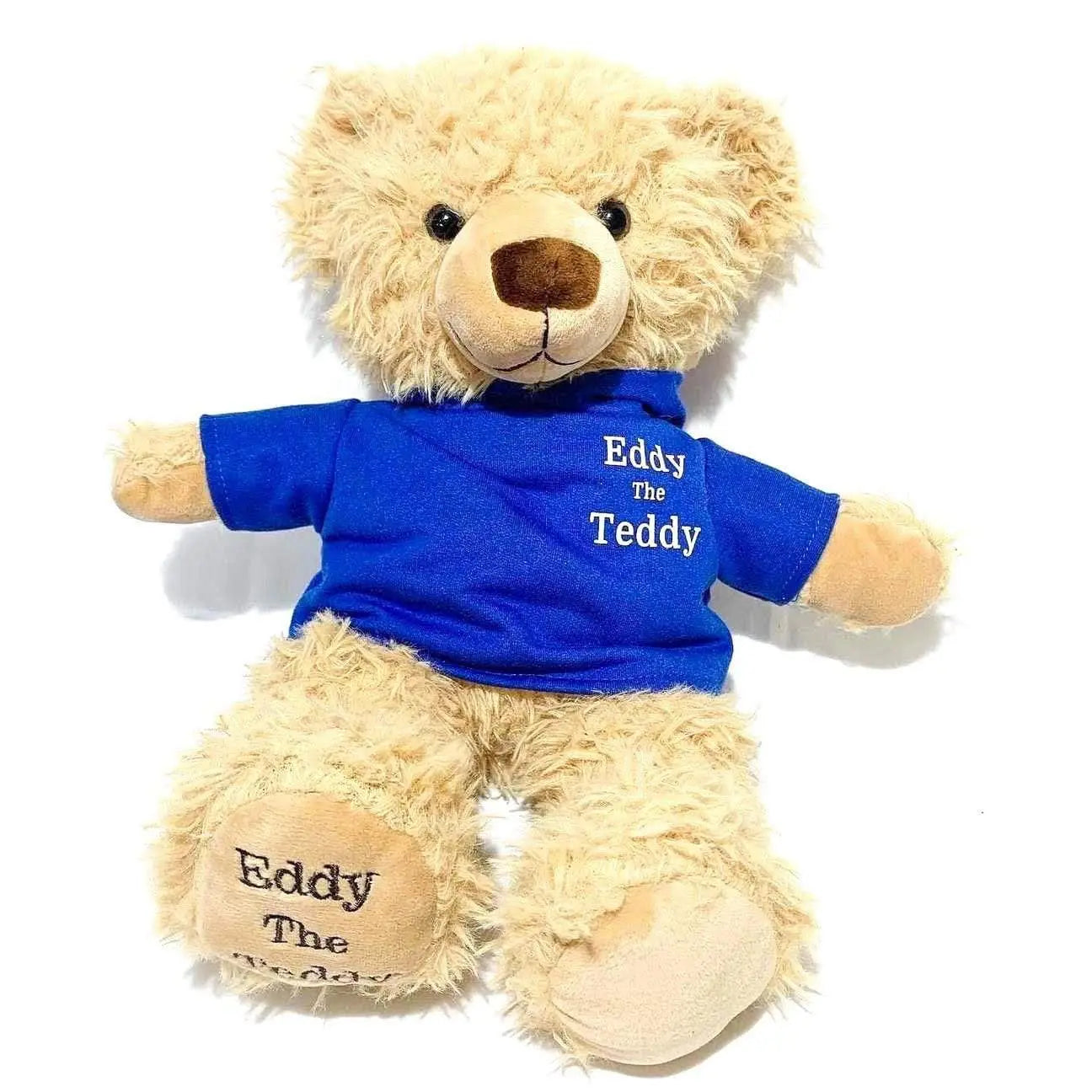 Eddy the Teddy bear