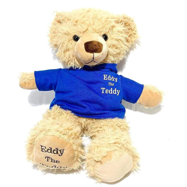 Blue Eddy the Teddy bear